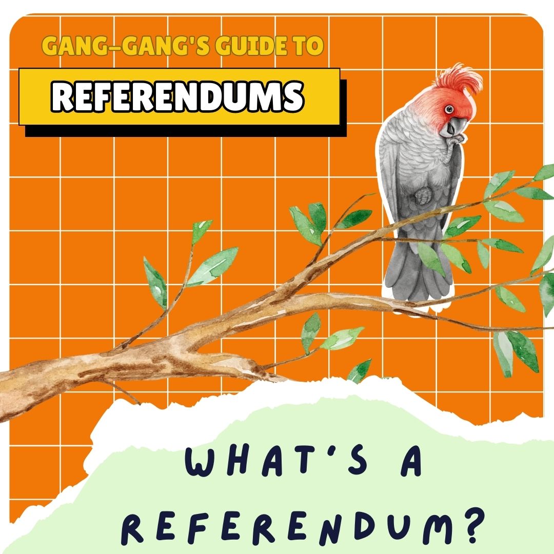 Gang-Gang's Guide to Referendums : A kid-friendly guide to referendums in  Australia